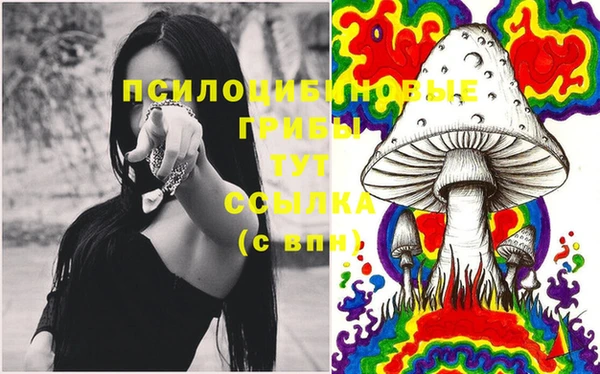 бошки Белоозёрский