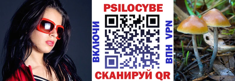 кракен сайт  Санкт-Петербург  Псилоцибиновые грибы Cubensis 